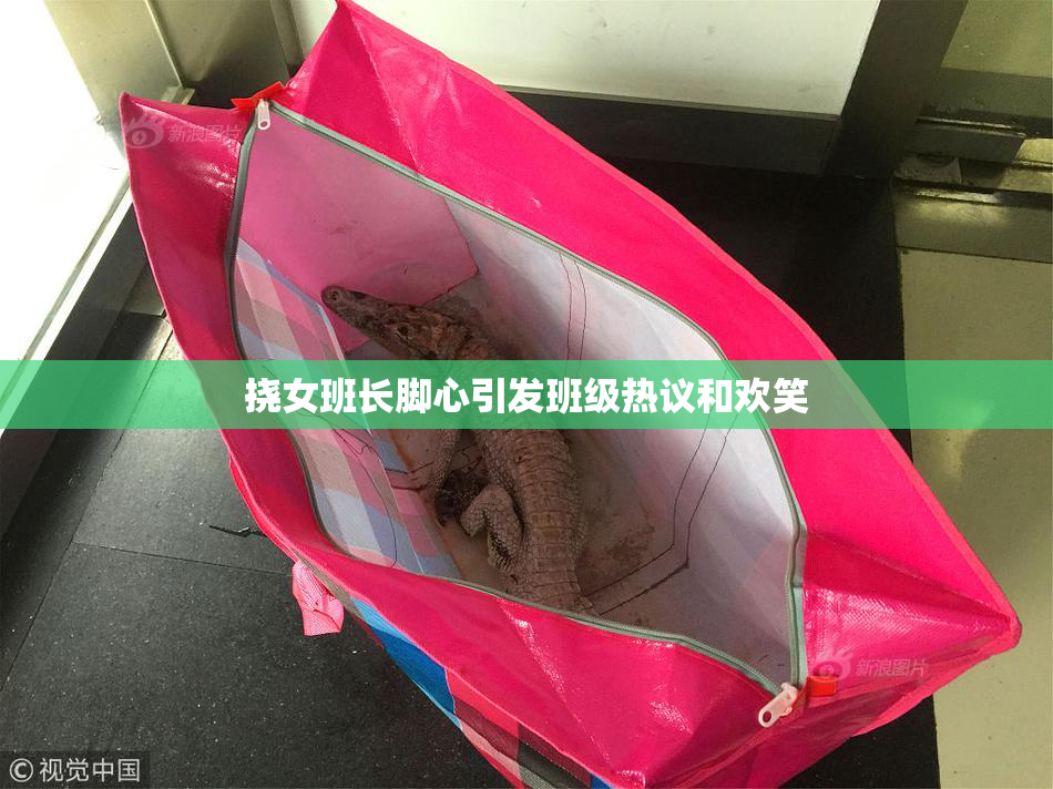 挠女班长脚心引发班级热议和欢笑