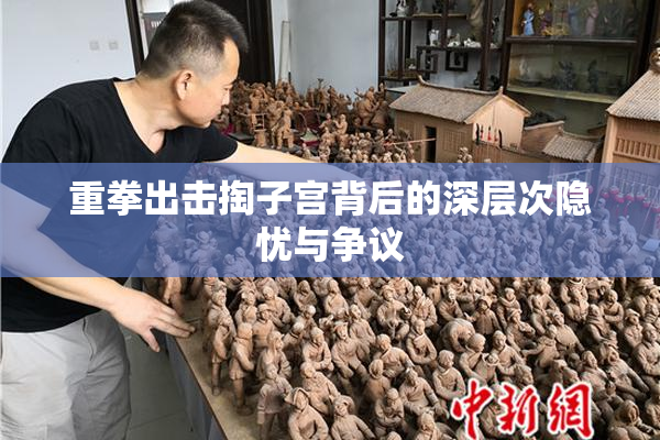 重拳出击掏子宫背后的深层次隐忧与争议