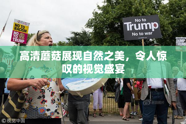 高清蘑菇展现自然之美，令人惊叹的视觉盛宴