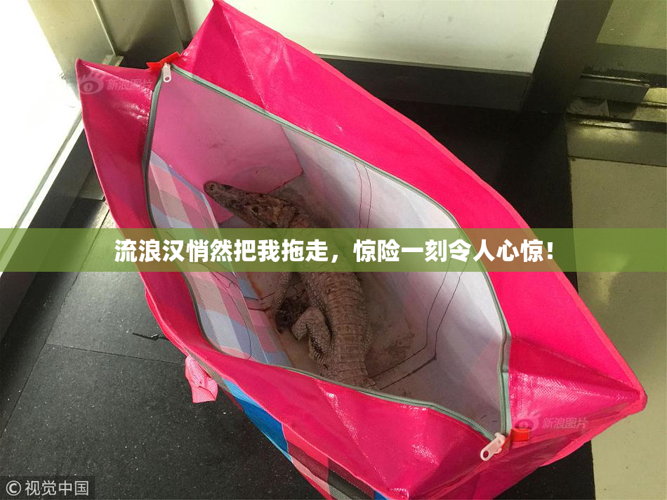 流浪汉悄然把我拖走，惊险一刻令人心惊！