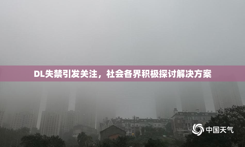 DL失禁引发关注，社会各界积极探讨解决方案