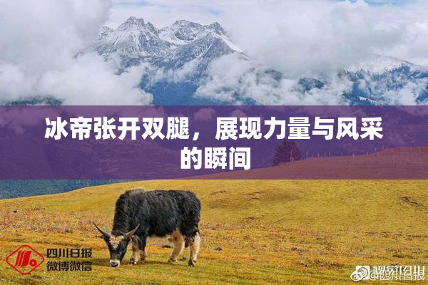 冰帝张开双腿，展现力量与风采的瞬间
