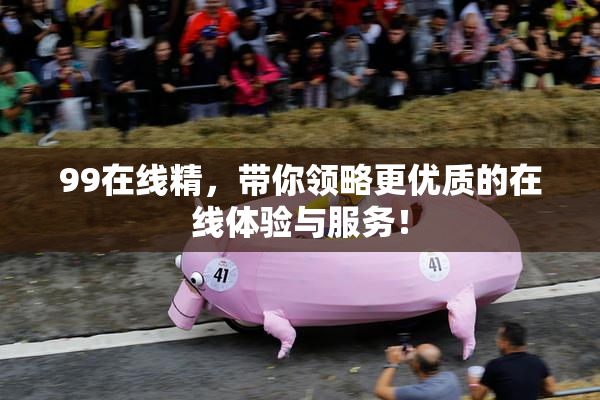 99在线精，带你领略更优质的在线体验与服务！