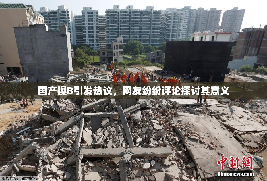 国产搡B引发热议，网友纷纷评论探讨其意义