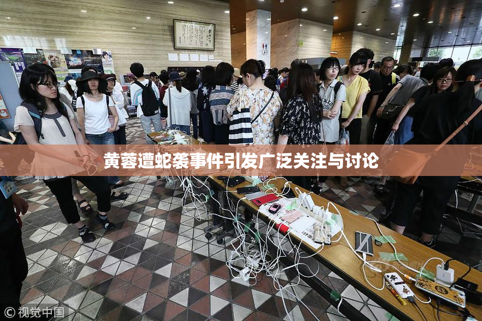 黄蓉遭蛇袭事件引发广泛关注与讨论