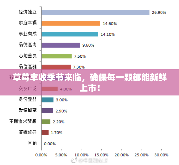 草莓丰收季节来临，确保每一颗都能新鲜上市！