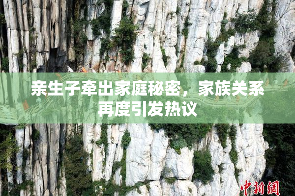 亲生子牵出家庭秘密，家族关系再度引发热议