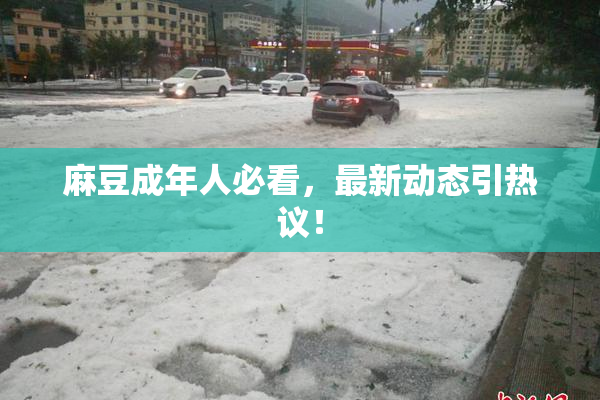 麻豆成年人必看，最新动态引热议！