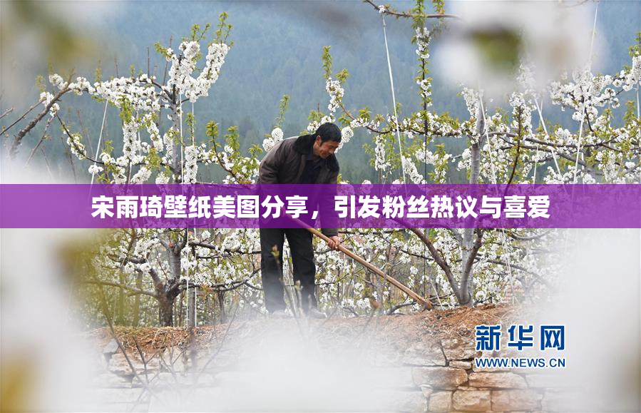 宋雨琦壁纸美图分享，引发粉丝热议与喜爱