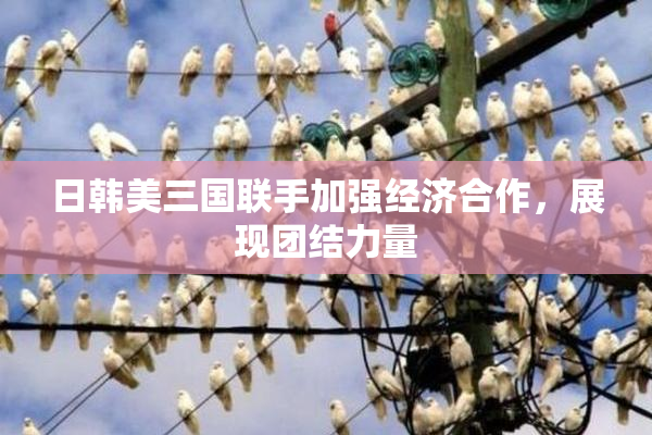 日韩美三国联手加强经济合作，展现团结力量