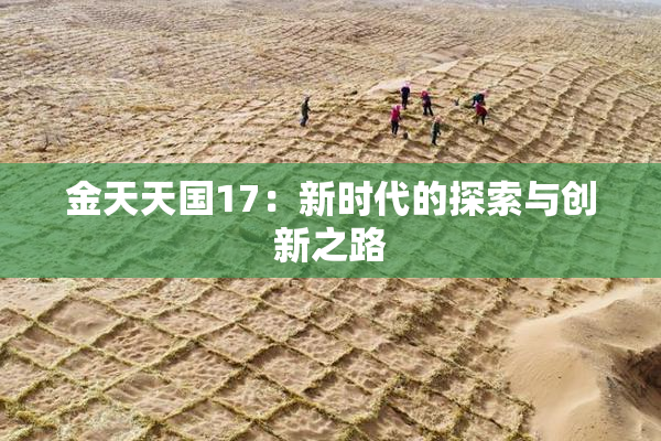 金天天国17：新时代的探索与创新之路