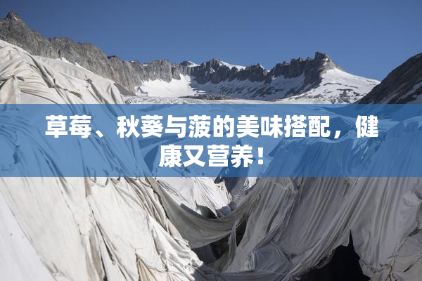 草莓、秋葵与菠的美味搭配，健康又营养！