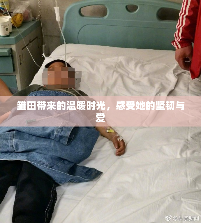 雏田带来的温暖时光，感受她的坚韧与爱
