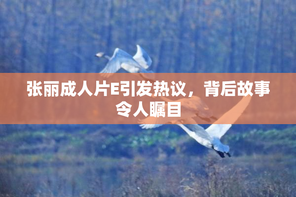 张丽成人片E引发热议，背后故事令人瞩目