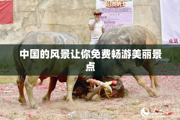 中国的风景让你免费畅游美丽景点