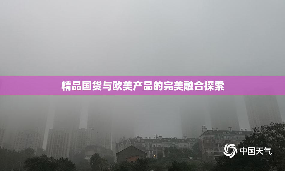 精品国货与欧美产品的完美融合探索