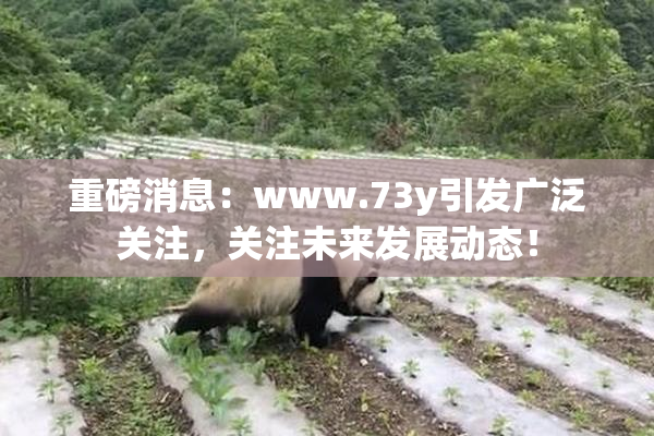重磅消息：www.73y引发广泛关注，关注未来发展动态！