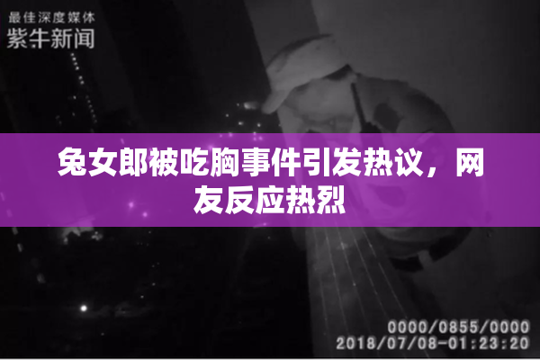兔女郎被吃胸事件引发热议，网友反应热烈