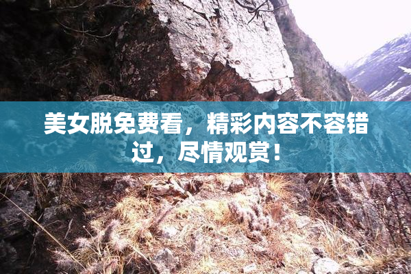美女脱免费看，精彩内容不容错过，尽情观赏！