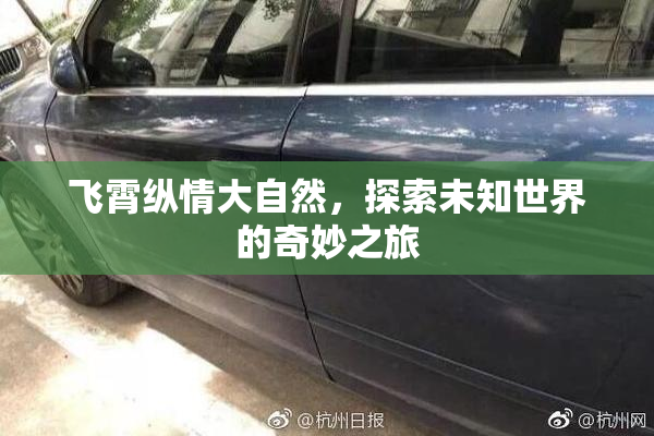飞霄纵情大自然，探索未知世界的奇妙之旅