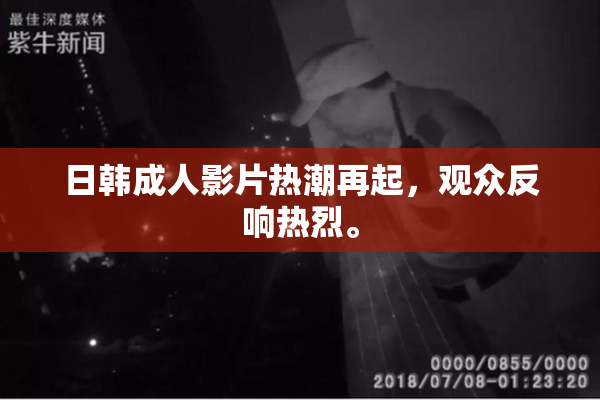 日韩成人影片热潮再起，观众反响热烈。