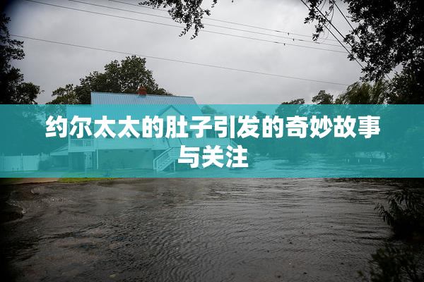 约尔太太的肚子引发的奇妙故事与关注