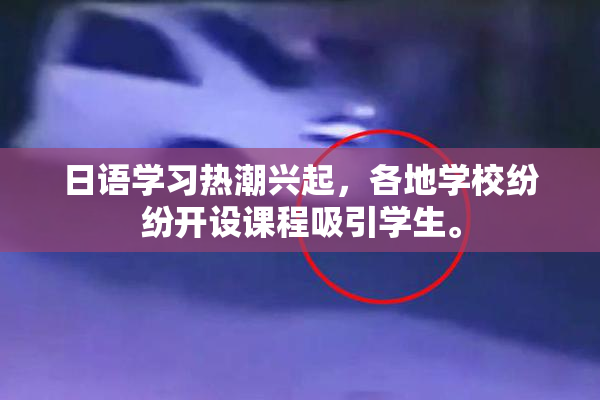 日语学习热潮兴起，各地学校纷纷开设课程吸引学生。