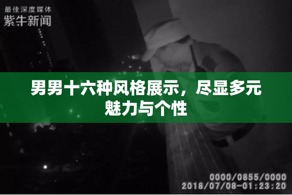 男男十六种风格展示，尽显多元魅力与个性