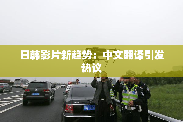 日韩影片新趋势：中文翻译引发热议