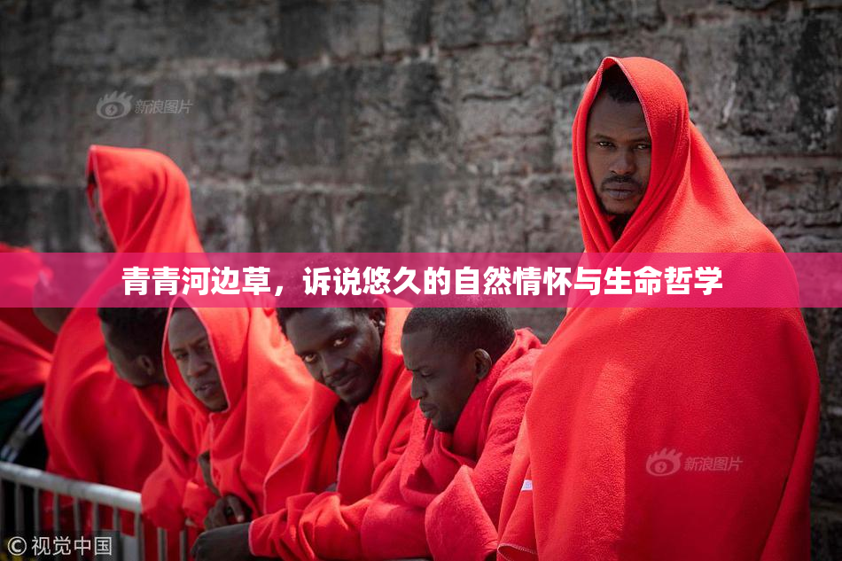 青青河边草，诉说悠久的自然情怀与生命哲学