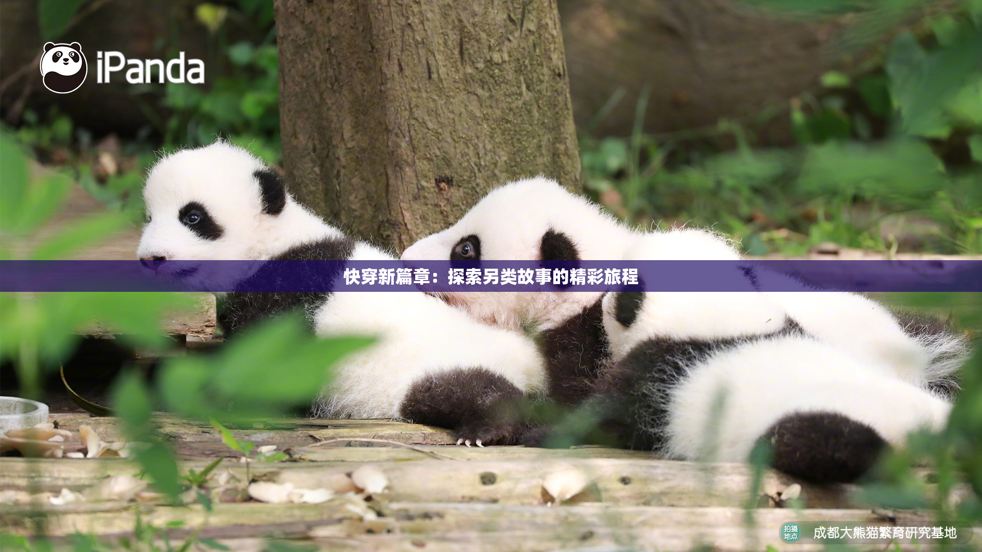 快穿新篇章：探索另类故事的精彩旅程