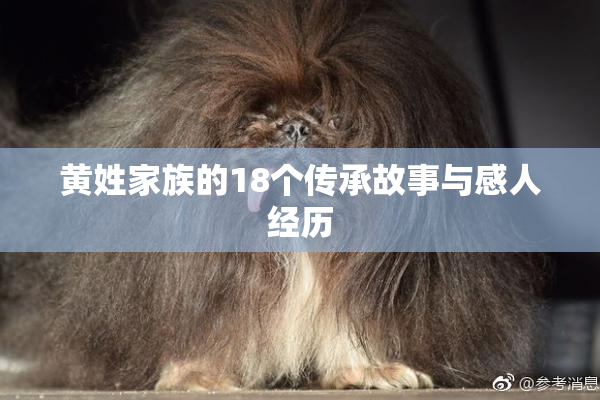 黄姓家族的18个传承故事与感人经历