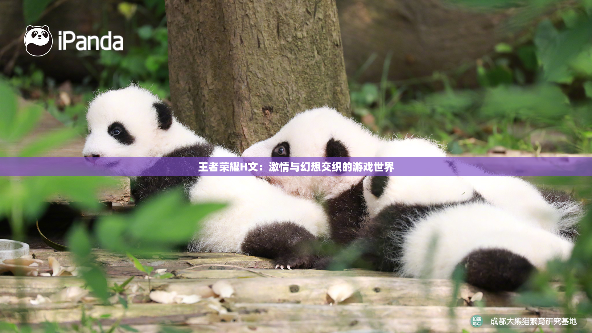 王者荣耀H文：激情与幻想交织的游戏世界