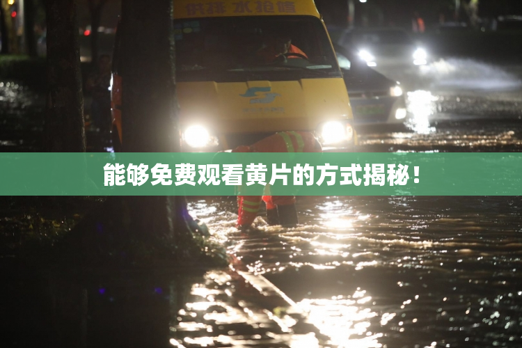 能够免费观看黄片的方式揭秘！