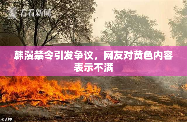 韩漫禁令引发争议，网友对黄色内容表示不满