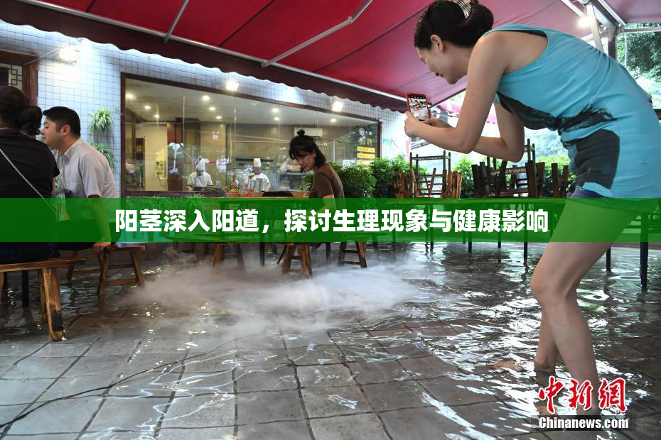 阳茎深入阳道，探讨生理现象与健康影响