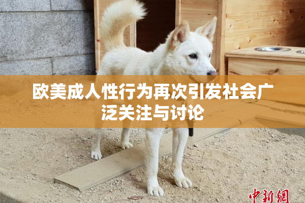 欧美成人性行为再次引发社会广泛关注与讨论