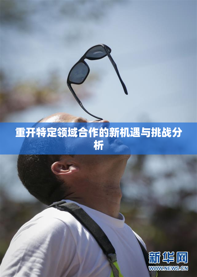 重开特定领域合作的新机遇与挑战分析