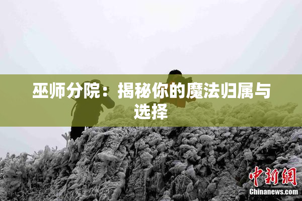 巫师分院：揭秘你的魔法归属与选择