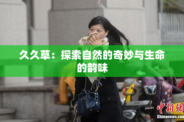 久久草：探索自然的奇妙与生命的韵味