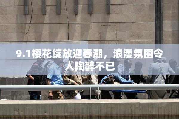 9.1樱花绽放迎春潮，浪漫氛围令人陶醉不已