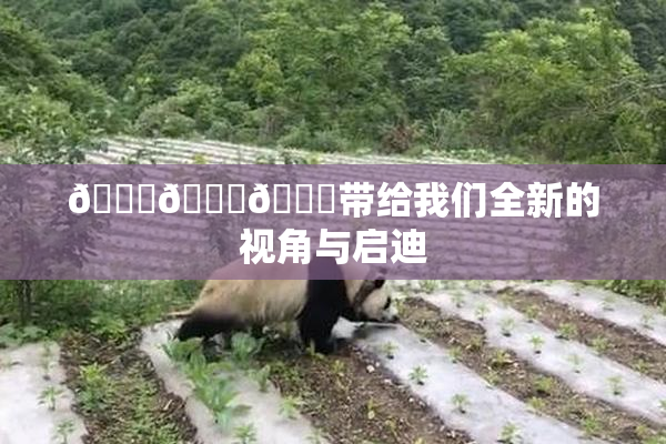 🔞🍆🍑带给我们全新的视角与启迪
