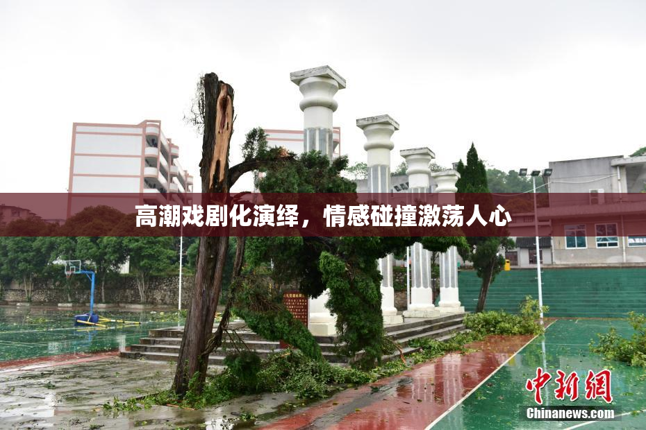 高潮戏剧化演绎，情感碰撞激荡人心