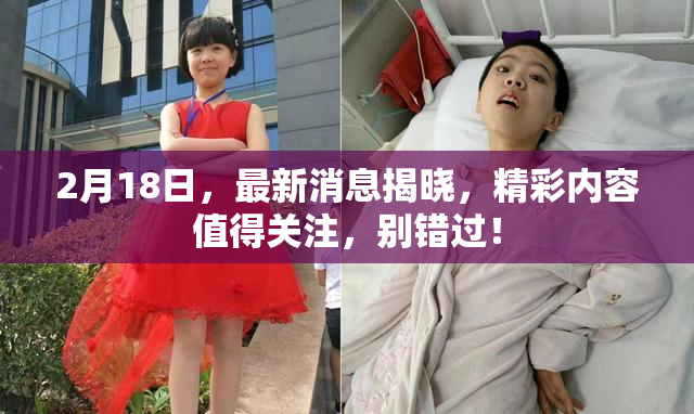 2月18日，最新消息揭晓，精彩内容值得关注，别错过！
