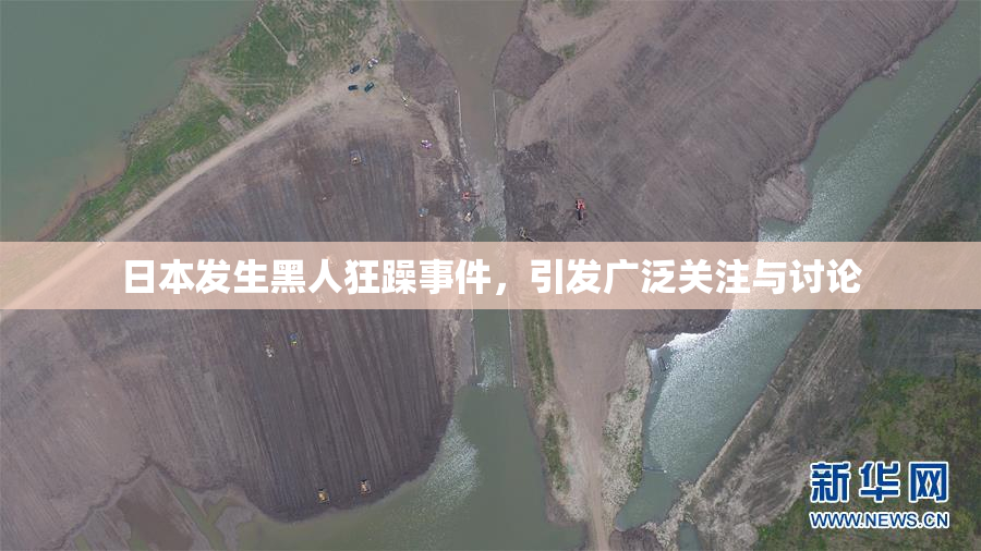 日本发生黑人狂躁事件，引发广泛关注与讨论