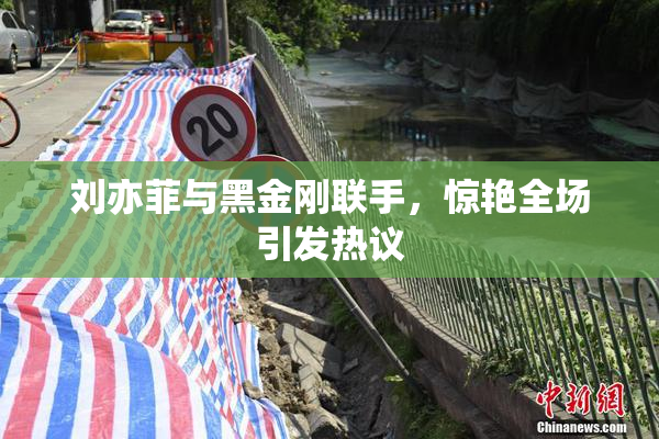 刘亦菲与黑金刚联手，惊艳全场引发热议