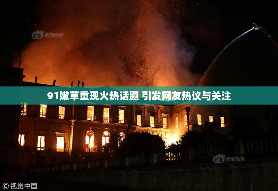 91嫩草重现火热话题 引发网友热议与关注