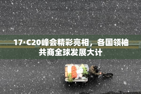 17·C20峰会精彩亮相，各国领袖共商全球发展大计