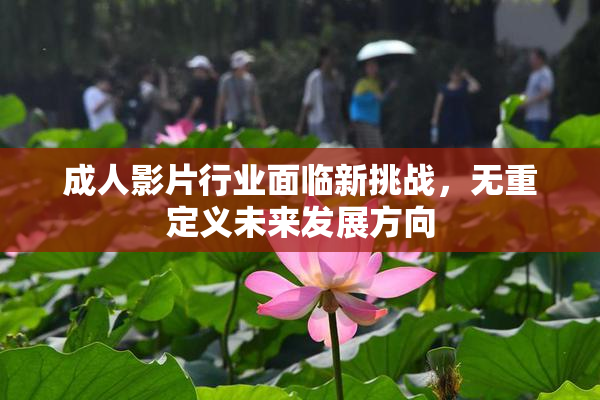 成人影片行业面临新挑战，无重定义未来发展方向