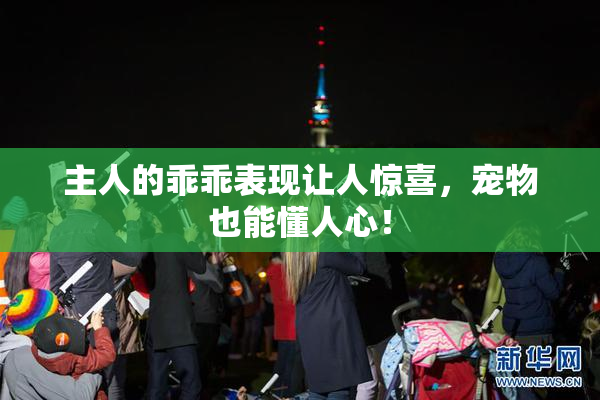 主人的乖乖表现让人惊喜，宠物也能懂人心！